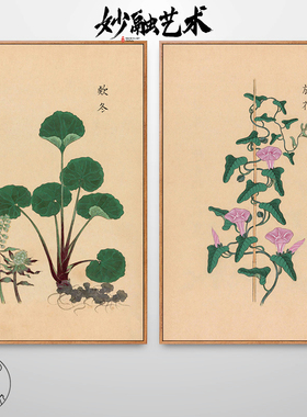 中草药植物花卉挂画中医馆装饰画
