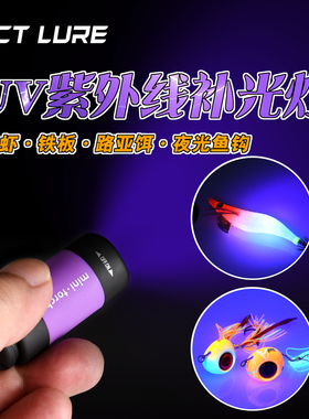 BCT LURE钓鱼装备夜光UV迷你手电筒木虾铁板补光灯紫光USB充电
