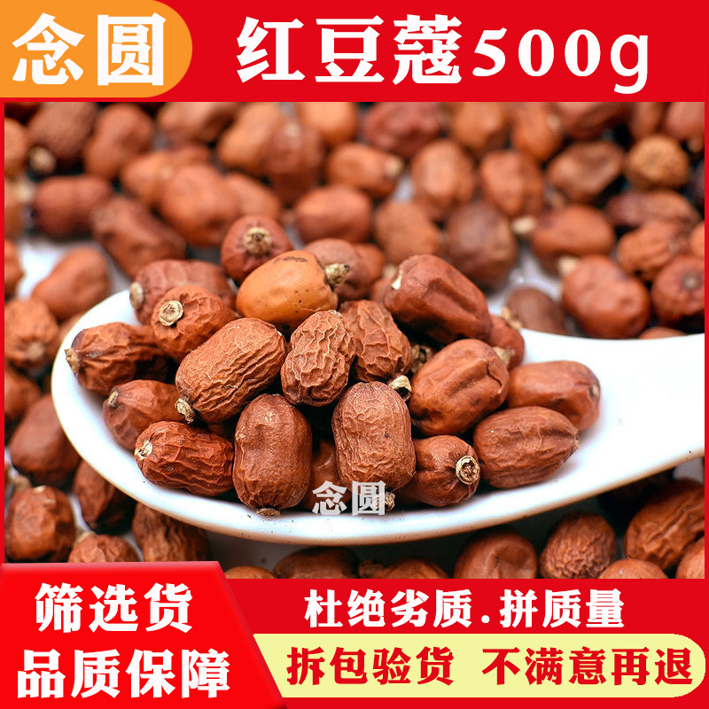 红豆蔻500g川味火锅卤肉香料