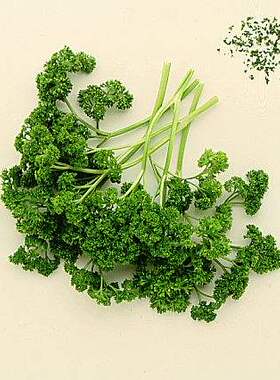微绿田园 新鲜香草香料 Parsly法国香菜 洋芫荽番西 皱叶欧芹50g