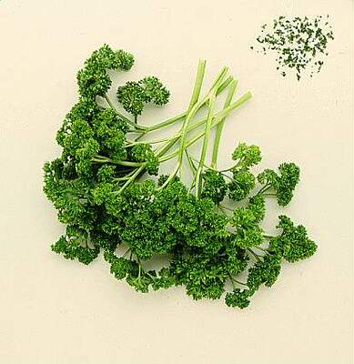 微绿田园 新鲜香草香料 Parsly法国香菜 洋芫荽番西 皱叶欧芹50g