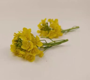 Microgreens新鲜特色食用花材 甜品西餐 日料摆盘装饰花材 油菜心