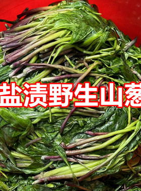 东北野菜新鲜盐渍山葱寒葱鹿耳韭产地发货生吃炒菜500克包邮