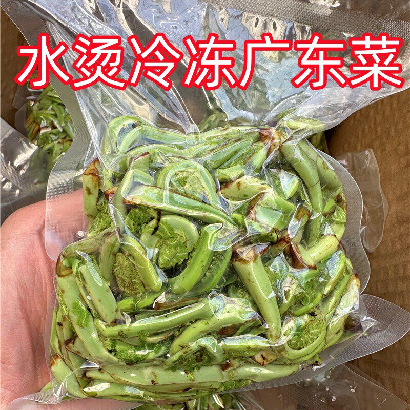 广东菜冷冻2斤黄瓜香山菜东北长白山野菜顺丰快递产地发货