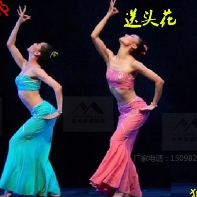傣族表演修身鱼尾裙孔雀舞