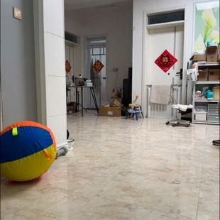 宠物猫狗放牧球—耐用的纯色聚酯充气训练和锻炼玩具宠物狗游戏球