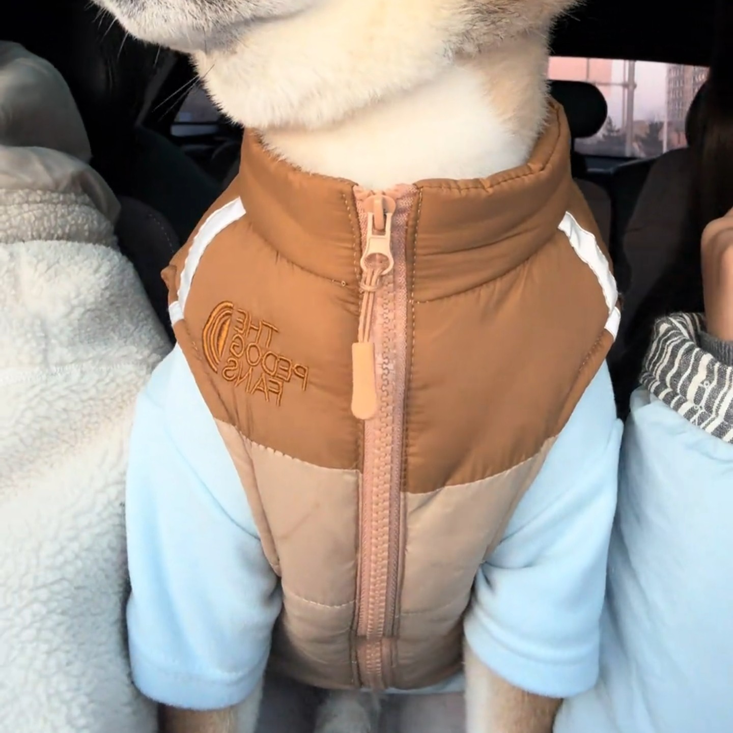 狗狗羽绒马夹外套秋冬保暖拼色宠物服装拉链加厚背心半包无束缚感,畜牧/养殖物资,畜牧防寒衣/保暖衣/保温马甲,淘宝优惠券,粉丝福利购,淘宝优惠卷