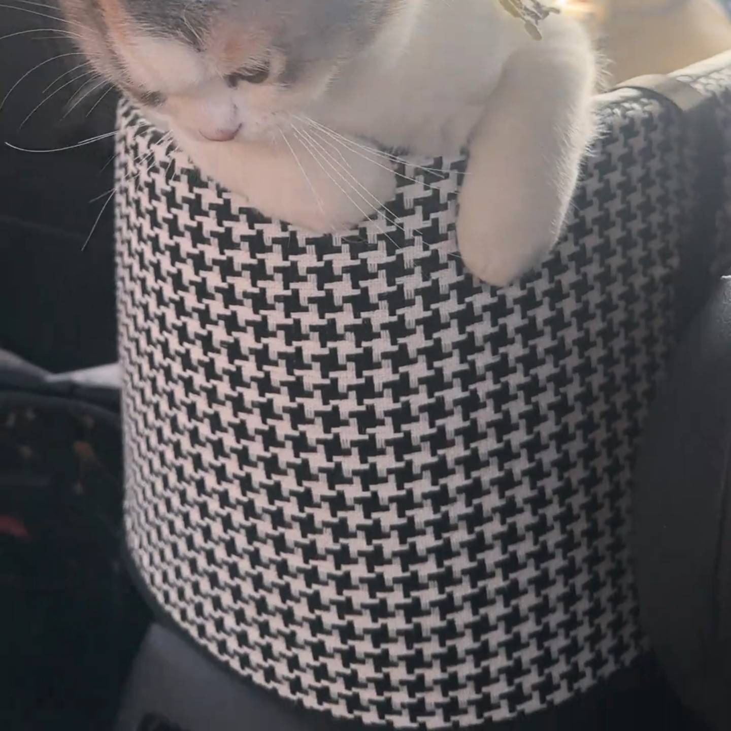 猫咪坐车小型犬软包座椅汽车扶手坐垫宠物车载垫狗窝猫狗车载垫,宠物/宠物食品及用品,猫狗车载垫,淘宝优惠券,粉丝福利购,淘宝优惠卷