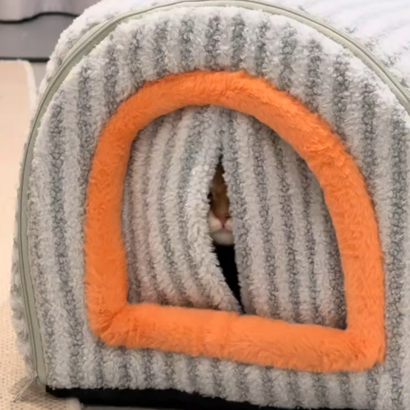 猫咪秋冬款保暖屋顶形室内猫屋小猫手提毛绒猫窝居家猫咪柔软房子,宠物/宠物食品及用品,猫窝/屋/帐篷/沙发,淘宝优惠券,粉丝福利购,淘宝优惠卷