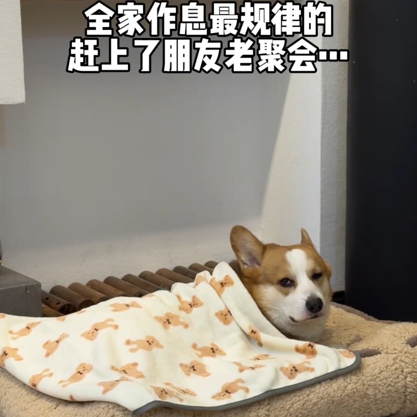 宠物狗狗毯子薄款被子睡垫狗垫子法兰绒睡觉狗窝四季猫咪保暖盖毯,宠物/宠物食品及用品,猫狗垫子,淘宝优惠券,粉丝福利购,淘宝优惠卷