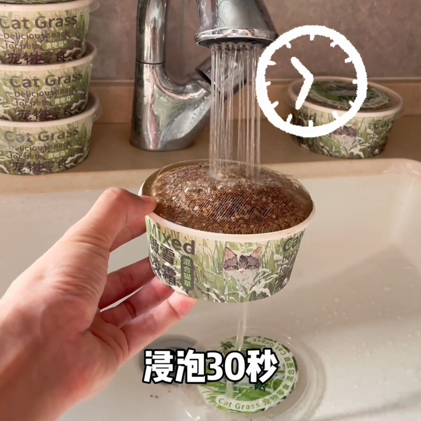 冬季猫草罐头补充膳食纤维水培猫草罐装宠物零食天然无添清洁口腔,宠物/宠物食品及用品,猫草/猫草片,淘宝优惠券,粉丝福利购,淘宝优惠卷