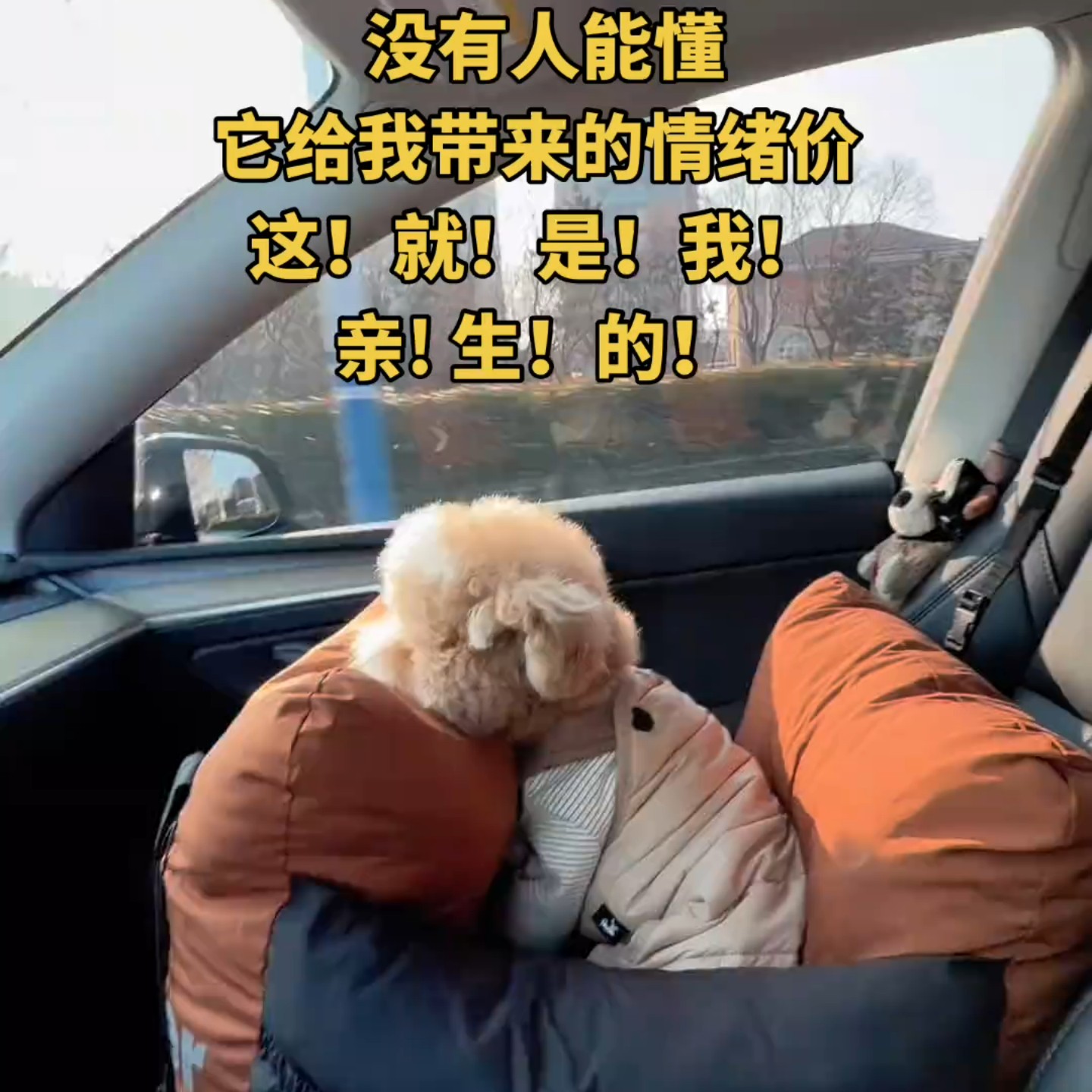 猫咪可爱四脚衣背带裤宠物衣服日常冬季保暖毛绒狗狗宠物秋冬服装,宠物/宠物食品及用品,狗宠物服装/雨衣,淘宝优惠券,粉丝福利购,淘宝优惠卷