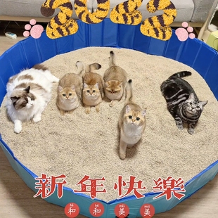 猫砂盆超大号半封闭式防外溅巨型透气开放式沙盆宠物猫玩水水池盆