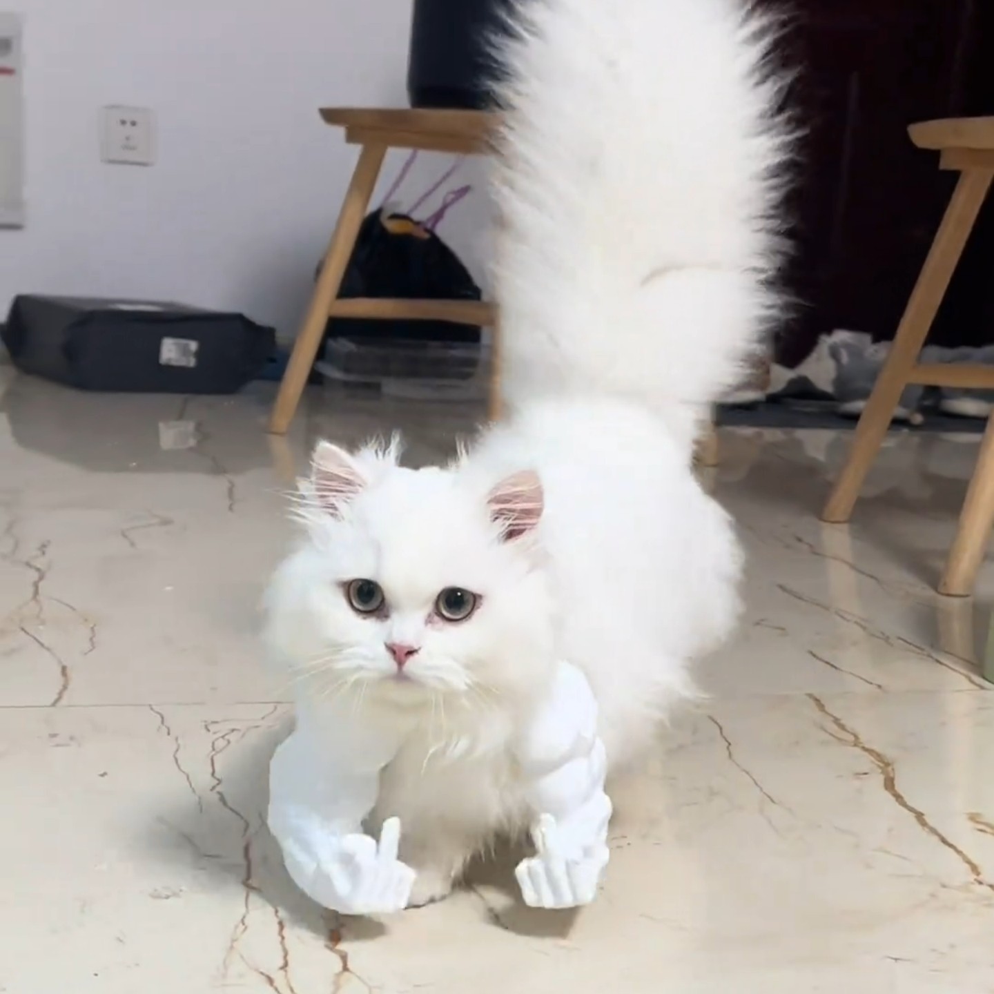 宠物3D打印挂脖手臂猫咪拍照摆设道具玩具宠物用品拳头恶搞装饰品,模玩/动漫/周边/娃圈三坑/桌游,谷美,淘宝优惠券,粉丝福利购,淘宝优惠卷