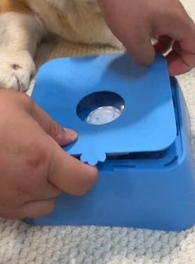 纯色慢食碗猫咪防打翻宠物碗防溢狗狗方形喂食器宠物喂食蓝色狗碗