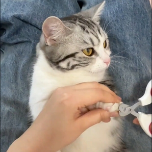 猫腻指甲剪猫爪剪刀宠物指甲剪不锈钢修甲工具猫咪用品家用安全