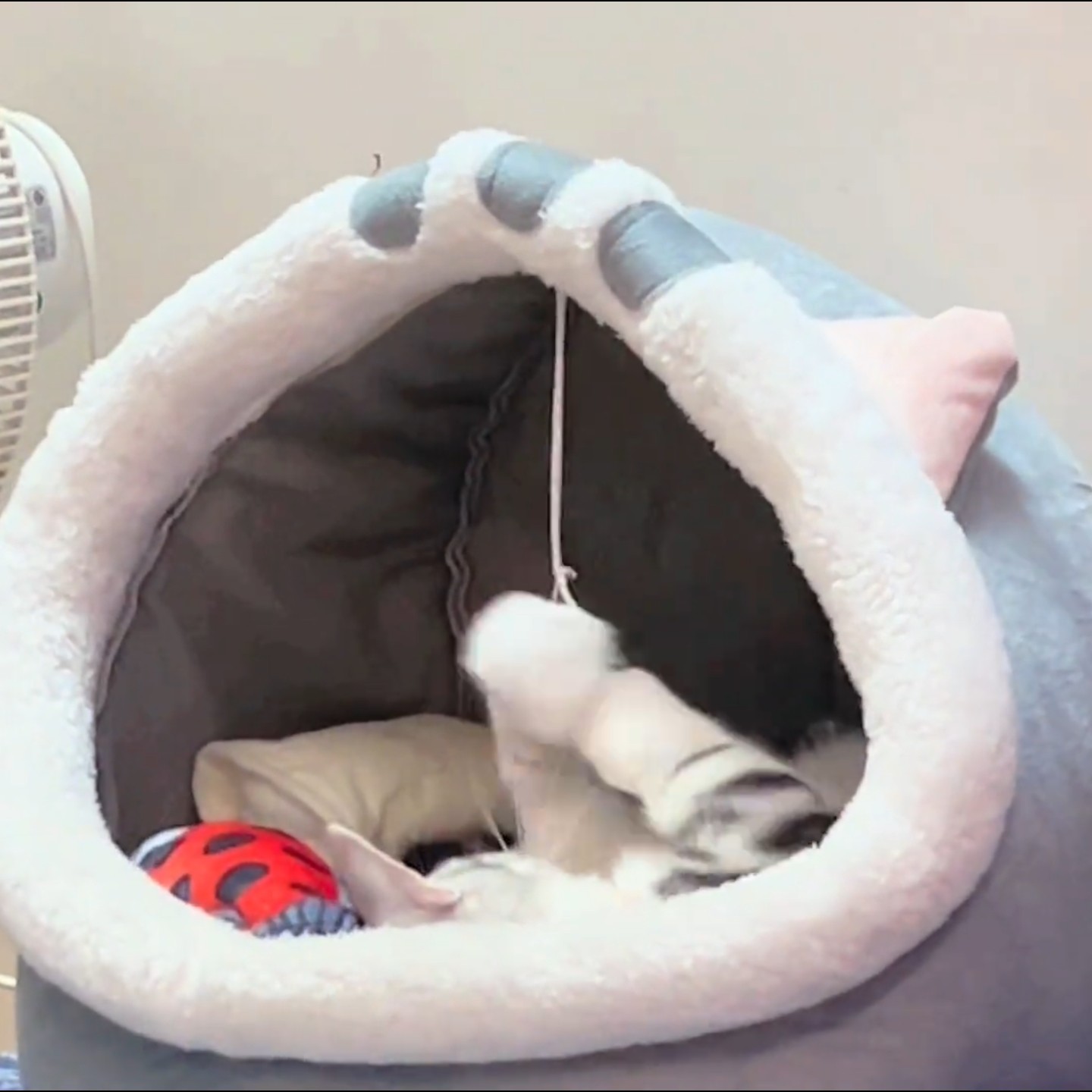 半封闭猫窝狗窝粉色兔子猫屋宠物四季通用睡觉的窝毛绒别墅保暖床,宠物/宠物食品及用品,猫窝/屋/帐篷/沙发,淘宝优惠券,粉丝福利购,淘宝优惠卷