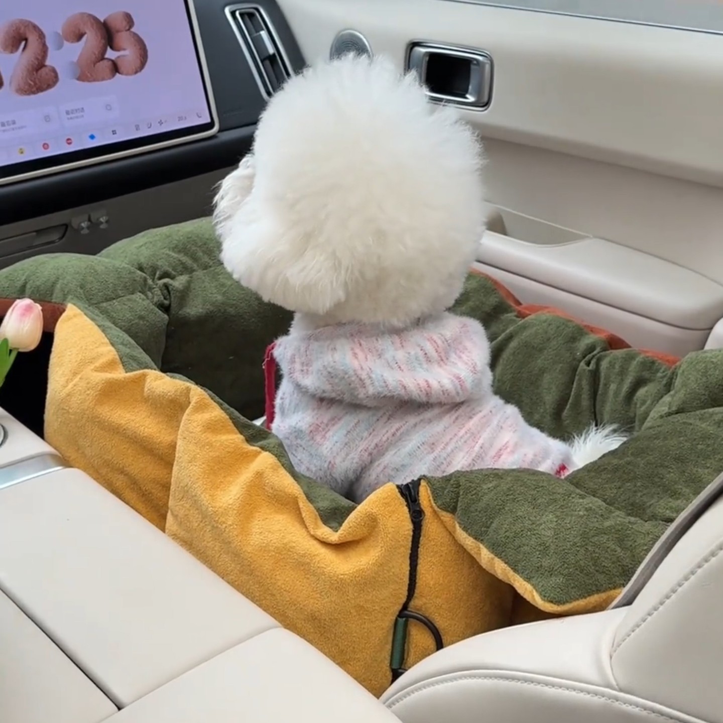新年回长途外出车载猫窝副驾驶专用狗狗窝车载包坐垫易清洁可拆卸,宠物/宠物食品及用品,猫窝/屋/帐篷/沙发,淘宝优惠券,粉丝福利购,淘宝优惠卷