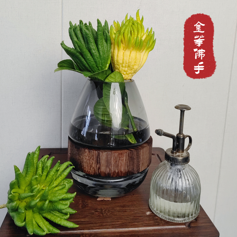现摘现发金华佛手带枝水养清供观赏闻香水培把玩插花新鲜佛手果