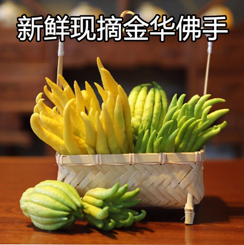 【一物一拍，现场挑选】金华佛手 佛手果金佛手 开佛手水养摆放