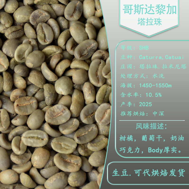 哥斯达黎加咖啡生豆卡杜拉水洗处理塔拉珠拉米尼塔庄园精品咖啡豆