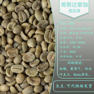 哥斯达黎加咖啡生豆卡杜拉水洗处理塔拉珠拉米尼塔庄园精品咖啡豆