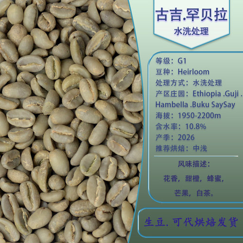 古吉罕贝拉水洗处理 BukuSaySay处理站 精品咖啡豆生豆埃塞进口