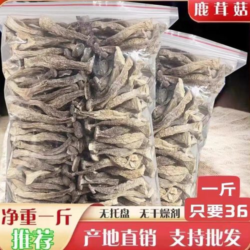 鹿茸菇干货500g特级鹿茸菌云南食用菌香菇脆脆菇煲汤食材产地直销 - 封面