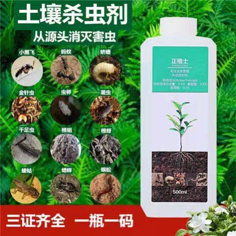 养花盆里有小虫多肉虫子药小飞虫的杀虫剂土里长虫生虫去除虫喷雾