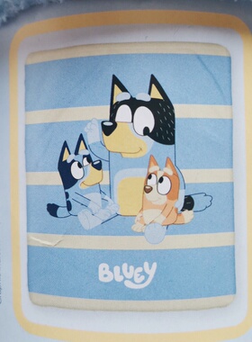 布鲁伊一家毛毯127x152儿童毯子珊瑚绒盖毯卡通动漫BLUEY  外贸