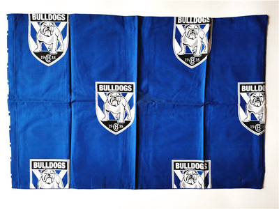 枕头套单个涤棉枕皮48x73枕壳学生宿舍单人吉隆GEELONG 特价外贸