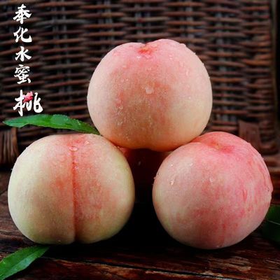 正宗奉化水蜜桃自家特产水果礼盒