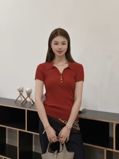 品味单品 得体优雅老钱风 轻奢金扣醋酸羊毛经典polo领针织衫