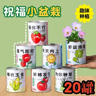幼儿园儿童种植正能量小盆栽礼品