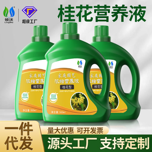 领沃桂花树营养液一件代发 家用花卉盆栽金桂银桂四季通用肥料