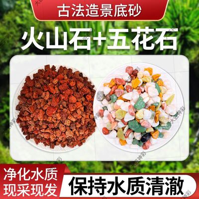 火山石小颗粒养花园艺蝴蝶兰花专用多肉铺面石水培植物鱼缸底砂石