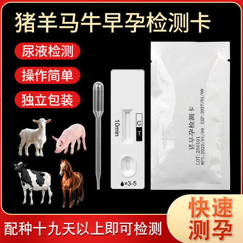 母猪怀孕测试纸牛羊马怀孕检测卡
