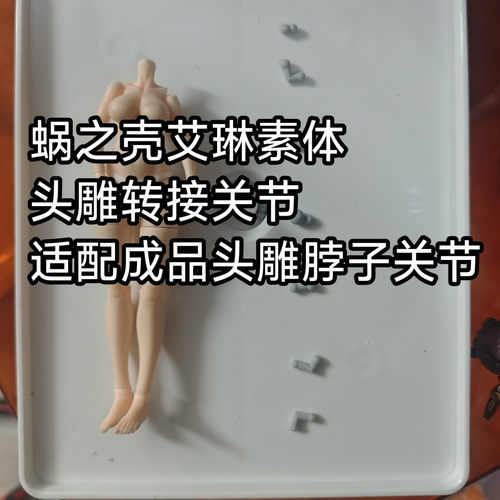 蜗之壳艾琳素体关节适配