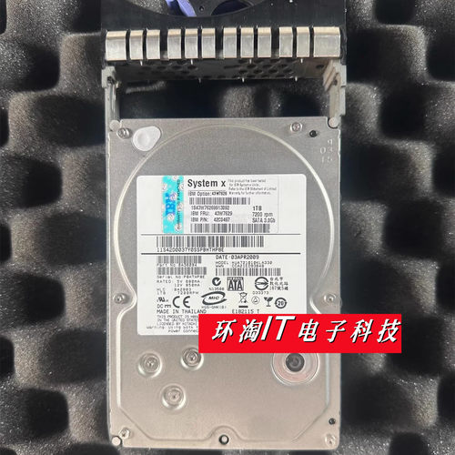IBM43W762643W76291T7.2K