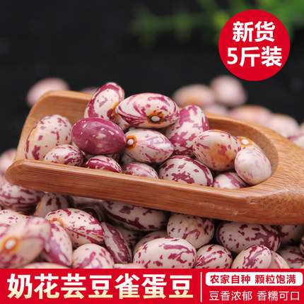 云南新货雀蛋豆花芸豆农家自种四季豆红腰豆奶白大花豆子5斤包邮