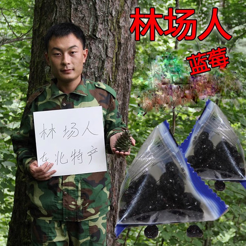 蓝莓干无添加东北伊春特产大兴安岭果干蓝莓果小包装原味500g - 封面