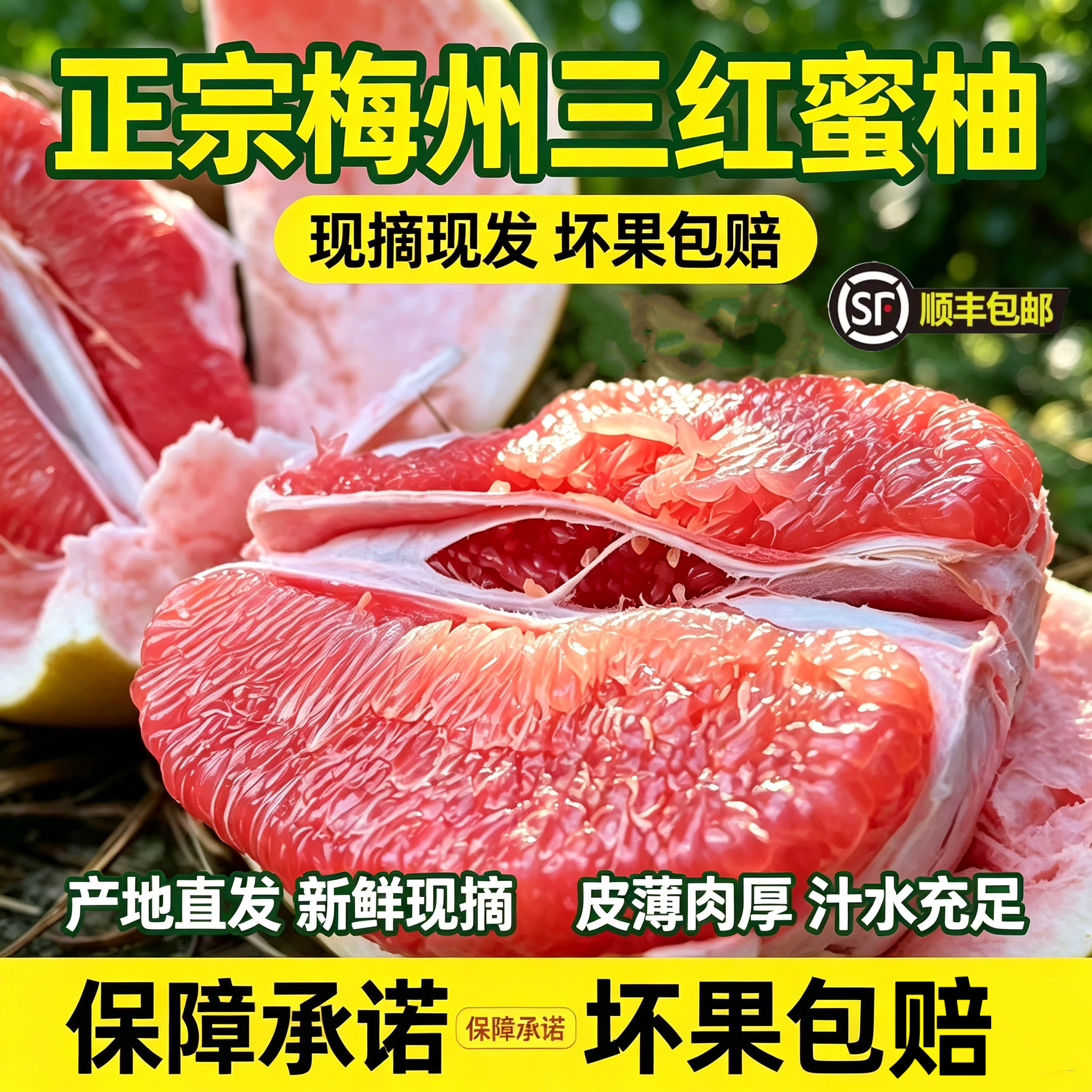 梅州红心蜜柚果园现摘皮薄爆汁