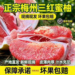 梅州红心柚子红心蜜柚正宗梅县蜜柚新鲜水果包邮金柚碌柚中秋送礼