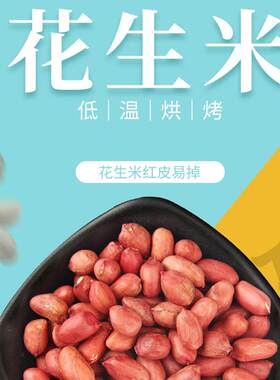 【果栗园】五香花生米现炒花生米不带壳红皮散装花生仁熟干果零食