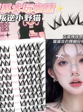 兜兜甜猫系大玩咖斜飞假睫毛自然仿真仙子毛新手单簇素颜新手分段
