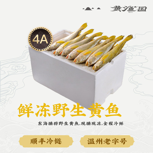 新鲜冷冻野生深海200g条装黄瓜鱼