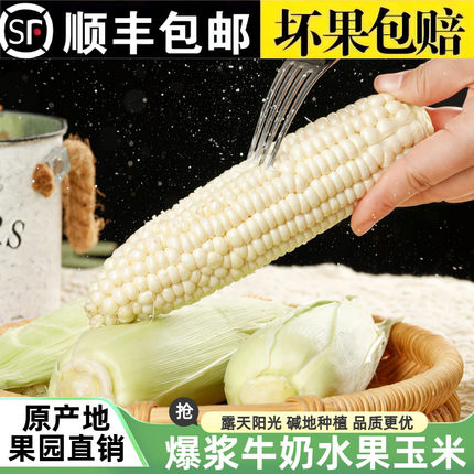 顺丰包邮爆浆牛奶冰糖甜玉米水果玉米当季现摘开袋即食可生吃玉米