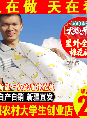 新疆棉被里外全棉秋冬被子纯棉花被垫被棉絮床垫褥子棉胎被芯