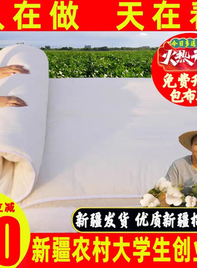 新疆纯棉花床垫褥子棉絮垫被床褥垫学生单人宿舍家用棉被铺床垫絮