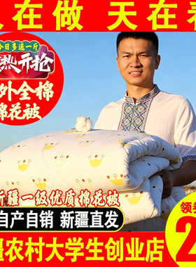 新疆棉被里外全棉秋冬被子纯棉花被垫被棉絮床垫褥子棉胎被芯
